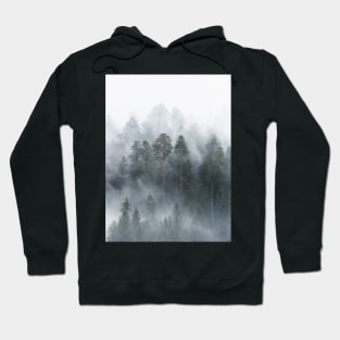 Redwood National Park Forest Fog Hoodie